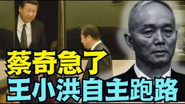 【立马闢谣 ⋯ 太快啦！】纯粹神经还是此地无银？质疑标题党 反击换老大？（02/12/26）#习近平 #蔡奇 #王小洪