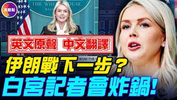 伊朗战争首次发布会！白宫莱维特与记者激烈交锋，地面部队成焦点！#真观点 #真飞