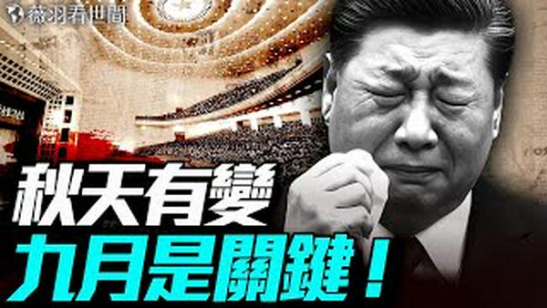 秋天有变！暗合帕克预言，9月是关键节点；「金砖」要烂尾，习近平缺席会议与川普有关。｜薇羽看世间 20250628