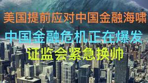 美国提前应对2024年中国金融海啸！证监会紧急换帅！(20240207第1147期)