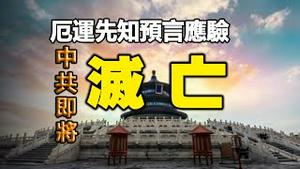 🔥🔥伦敦大桥跨了❗厄运先知预言应验❗中共灭亡时间已到❓川普重返白宫❓