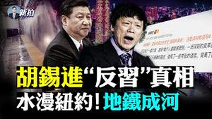 💥“黑水公司”反攻阿富汗？真的吗，其创办人给中共办“镖局”，或已染红；“武统台湾”进入小学课堂；习近平要成立「北京证交所」；锡进胡竟否定习近平，三个角度分析；评论指习要闭关锁国｜新闻拍案惊奇 大宇