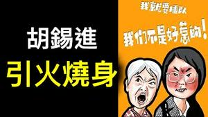 胡锡进因「平移插队」引火烧身！网络声讨的不是「平移婆孙」而是…… ？中国式插队背后更深刻的问题！