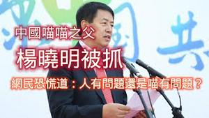 是人有问题还是新冠疫苗有问题：杨晓明被罢免，引起国人恐慌