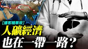 中共正在全球输出「器官产业」？你以为是捐献，其实是人矿经济！当大数据遇上邪恶极权，会发生什么？｜薇羽看世间【精华版】 20251226