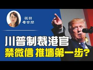 【第103期】川普再次出手，制裁中共11名官员，包括林郑月娥和骆惠宁。微信被禁，只是川普推倒中共防火墙的第一步吗？| 薇羽看世间 20200808