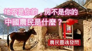 中国农民灵魂发问：地不是你的，房不是你的，农民是什么？2024.7.17