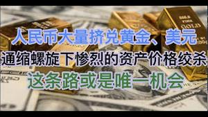 人民币挤兑黄金、美元开始了！通缩螺旋下惨烈的资产价格绞杀！这条路或是唯一的机会！(20250112第1345期)