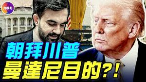 乌俄和平提案泄露：乌克兰割地20%？！川普称讚曼达尼！曼达尼低头朝拜川普的真正目的竟然是…?！#真飞 #真观点