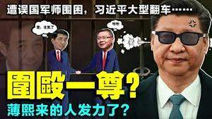 习近平访青海，张维为逆袭三可新政遭起底？王沪甯和张到底啥关系，薄熙来国师借王还魂？（老北京茶馆/第513集/2021/06/10）