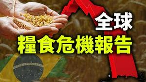 世界粮食计划署：2021年全球粮食危机报告；巴西拉响全球滞胀第一声警报；亚利桑那审计最新更新（政论天下第418集 20210506）天亮时分