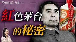 周恩来背书的国酒是如何登上神坛的？｜薇羽看世间 20250307
