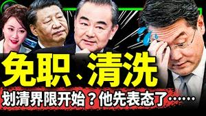 王毅清空外交部秦刚信息！秦刚被习近平亲自免职引发划清界限运动，秦力真家族要起诉？（老北京茶馆/第980集/2023/07/25）