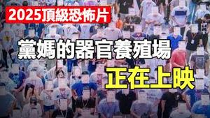 🔥🔥鞋底追踪器、智能校服、七亿摄像头 ￫ 14亿行走的器官❗几则震惊世人的换心案例 猜猜李连杰怎么变成小女孩❓