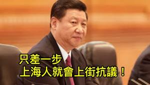 上海人跟习近平干起来了，只差一个条件就会全面上街！ “国师”张维为被打上热搜，暴梗评论带来希望（一平论政2022/4/23)