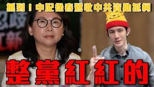 检调抓到中配收红钱挺柯文哲｜国民党正式提案中国人参政管台湾人｜全党红通通！中国选择真的是柯文哲｜粉红特报155期