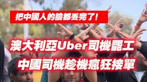 把中国人的脸都丢完了！澳大利亚Uber司机罢工，中国司机趁机狂接单。2024.08.30NO2462