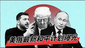 俄乌协议28条是和平条约还是丧权辱国？《建民论推墙2871》