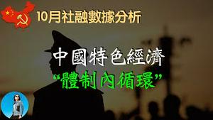 央行再不放水，银行就要造反了！10月的社融数据告诉我们，“体制内循环”经济已经出现了！｜米国路边社 [20231113#502]