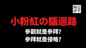 【公子时评】张哲瀚竟然是爱党爱国小粉红！政治批斗不长眼，流量明星成了社会主义铁拳下的牺牲品！小粉红的脑回路不一般，参观靖国神社就是参拜战犯吗？