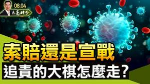 索赔还是宣战，疫情追责的大棋下一步怎么走？粉丝包围朝阳分局，吴亦凡完了！整个娱乐圈都完了！（政论天下第481集 20210804）天亮时分