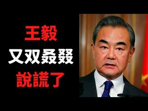 【公子时评】民主不是可口可乐，中国的民主全世界最好？！拆穿王毅的满嘴谎话，中国外交部是欺骗中国人的撒谎专业户...