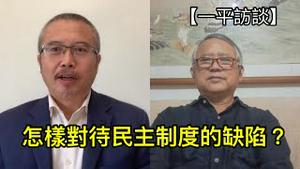 怎样对待民主制度中的缺陷？ （一平访谈2022/11/14)