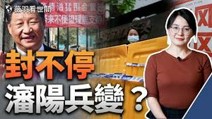 伊犁、东兴、济宁网络求救被淹没，李易峰霸屏事出有因；沈阳于洪机场传砲声，兵变是真？｜薇羽看世间 第538期 20220913