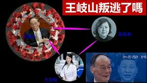 王岐山叛逃了吗?法国打马克龙耳光者从重从快判了4个月,高校教师要求多配偶生三胎是否恢复妻妾制?《建民论推墙1298》