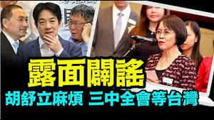 「台湾大选结果 将定调习氏政权未来」《今日点击》（01/04/24）