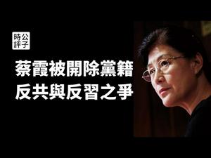 【公子时评】中央党校教授蔡霞被开除党籍剥夺退休待遇！反习不反共惹争议？从“红二代”教授因言获罪流亡美国，看改革开放派的命运...