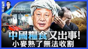 “官方劫匪”搞事情！河南小麦熟了却无法收割？！打乱农人「自发秩序」，庄稼出事了，中共组队“抢收”，甩锅“老天爷”，封杀农民直播，“小麦”竟成敏感词｜新闻拍案惊奇 大宇｜干净宇论（20230601）