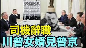【泽连斯基辞职倒数！】议会传被迫下台 ⋯ 涉嫌28亿美捐款与煽动罪参议员！普京密会库什纳川普和平牌爆！（12/02/25）#川普 #trump #特朗普 #高市早苗 #滨崎步 #musk