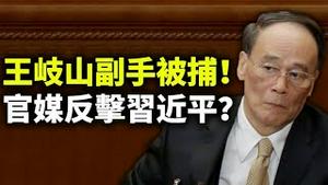 王岐山副手被捕！官媒反击习近平？中共通过《反外国制裁法》，自己挖坑自己跳（政论天下第442集 20210610）天亮时分