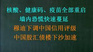 核酸、健康码、疫苗全部重启，墙内恐慌快速蔓延！穆迪下调中国信用评级    ，中国股汇债楼下杀加速!(20231205第1122期)