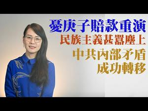 【第21期】中国人的民族主义再次被利用来转移矛盾，健康民族主义和病态民族主义的区别 | 薇羽看世间 20200425