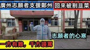 去郑州的志愿者太惨了，回广州自费隔离还遭谩骂|支援郑州6天免费修车500辆，回来却被骂|心寒的志愿者|打脸秀|韭菜连根拔起|郑州涝疫结合，雪上加霜|#河南追踪#郑州志愿者