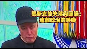 马斯克的失落与回归：远离政治的呼唤。