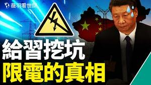 东北限电：反习派暗笑，习成铲屎官，全体韭菜救火，电价要涨了。｜薇羽看世间 第379期 20210928
