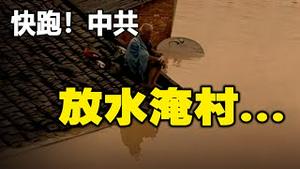 🔥🔥快跑❗中共又放淹水村 大量村庄被夷为平地❗水龙头流出石油 中共说能喝❗酒店在菜里下药 卖出几千份 都是中共作的孽❗