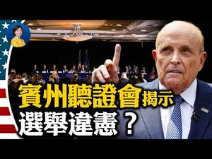 宾州葛底斯堡听证：川普法律战转折点！更多听证在即，民意将汹湧，谁会害怕？川普赦免弗林意义重大｜横河 Jason ｜热点互动 11/25/2020