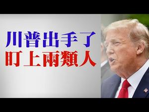 【第41期】香港人等著，川普总统出手了！两类人不许入境美国，中共大使馆紧急撤离部分留学生 | 薇羽看世间 20200530（字幕）