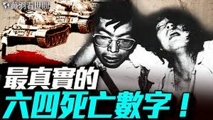 惊悚爆料！27军被注射药物？他们如何下得了手？最完整六四死亡人数统计。｜薇羽看世间 20250603