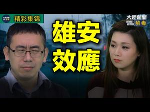 雄安新区现在怎么样了？｜【雄安效应】｜经典搞笑合集尽在大陆新闻解毒｜精彩集锦片段回顾48