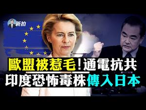 ?习喊“向死而生”，对内对外都在赌；台海开战，日本必帮？台国安局揭底武统；特斯拉能连星链！中共怕；香港大纪元记者被跟踪，民阵成非法？赵婷获奥斯卡；共机低飞扰台避雷达，实际如裸奔｜新闻拍案惊奇 大宇