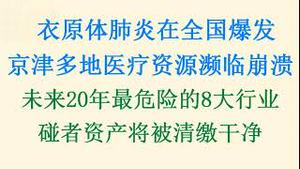 中国爆发衣原体肺炎，京津多地医疗资源濒临崩溃！未来20年最危险的8大行业，碰者资产将被清缴干净！(20231122第1116期)