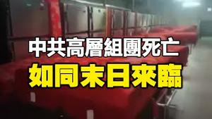 🔥🔥中共高层组团死亡❗中共不敢发讣告❗安静得如同末日来临❗大劫之前 赶紧保命❗