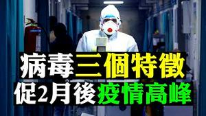 💢武汉肺炎的死者数据准确吗？3个可怕特征！令疫情走向高峰，解析二月后2个关键峰值⏰未来转机：疫苗研发进展；朝鲜曝1例确诊，7湖北高官感染；新拍互动：为何洗手更重要 |新闻拍案惊奇 大宇