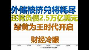 财经冷眼：外储被挤兑大降，耗尽后还将负债2.5万亿美元，国人40年白忙！（20200413第209期）