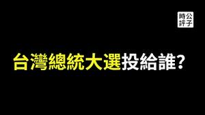 中国介选的证据有了！台商台胞下架台独民进党？我眼里的总统大选投票的首要标准...